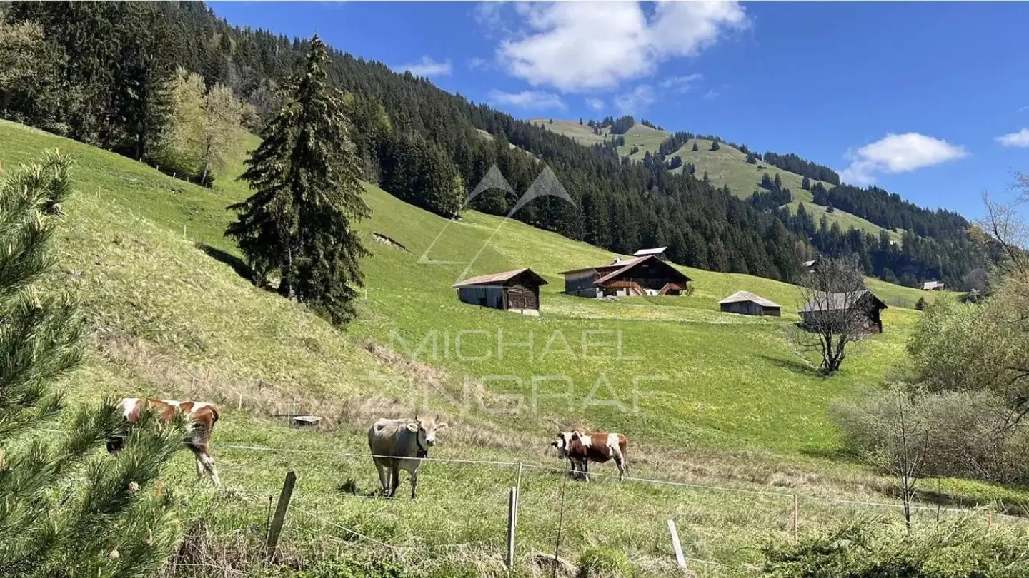 Apartment for sale - 1659 Rougemont - Photo 3