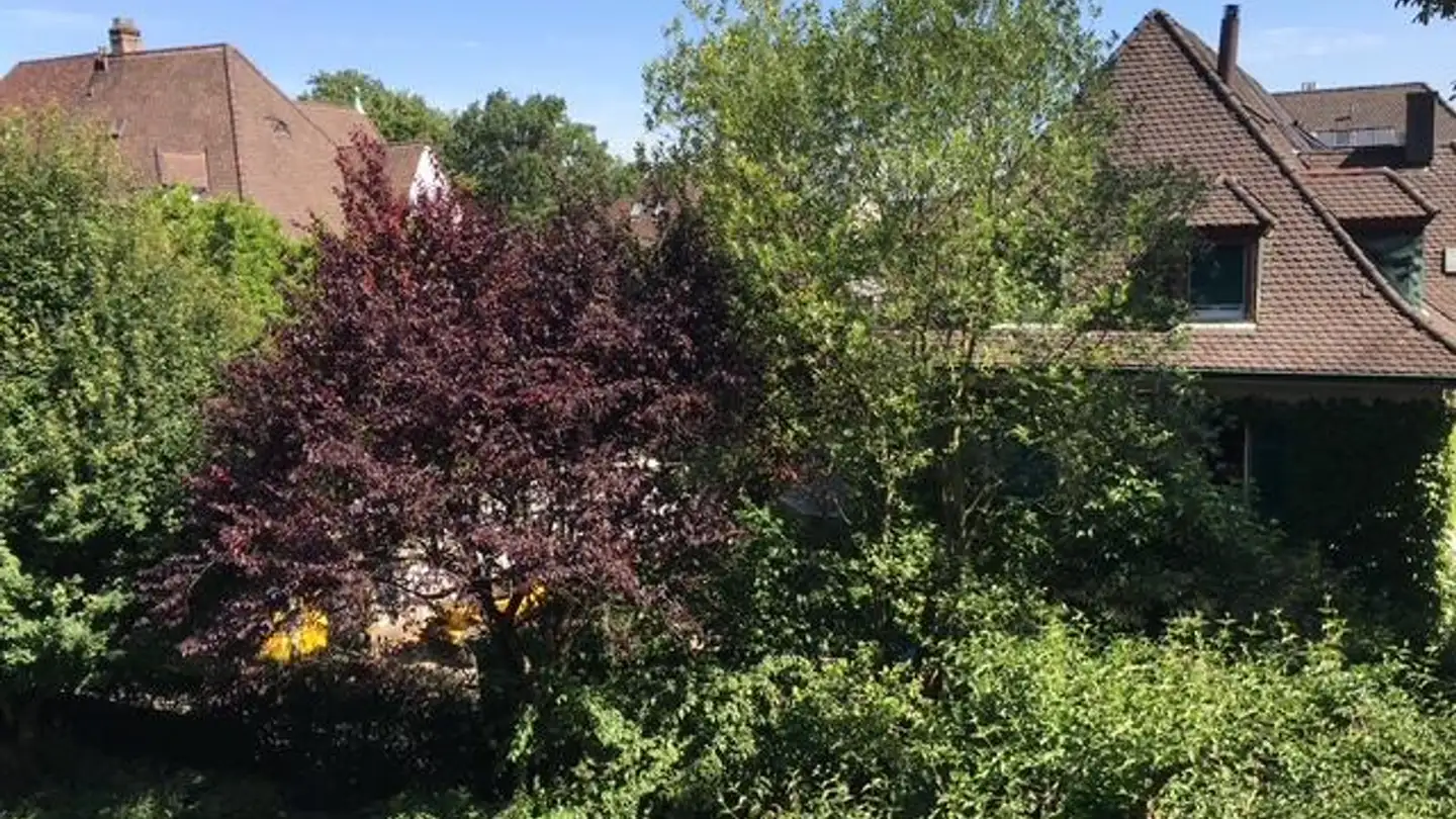 Appartamento in affitto - Unterer Batterieweg 39, 4053 Basel