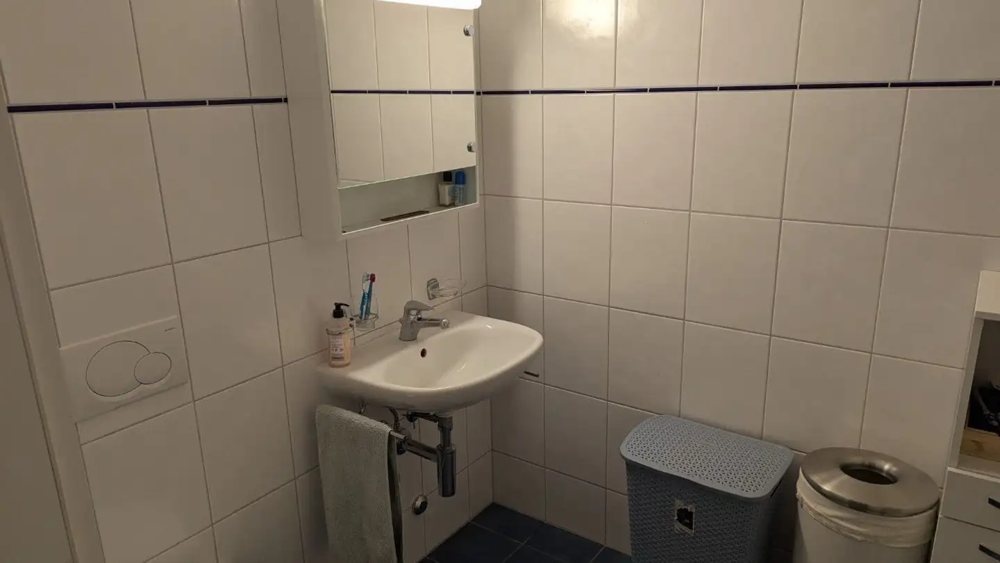 Appartamento in affitto - Chemin Des Plantaz 16, 1180 Rolle - Photo 4