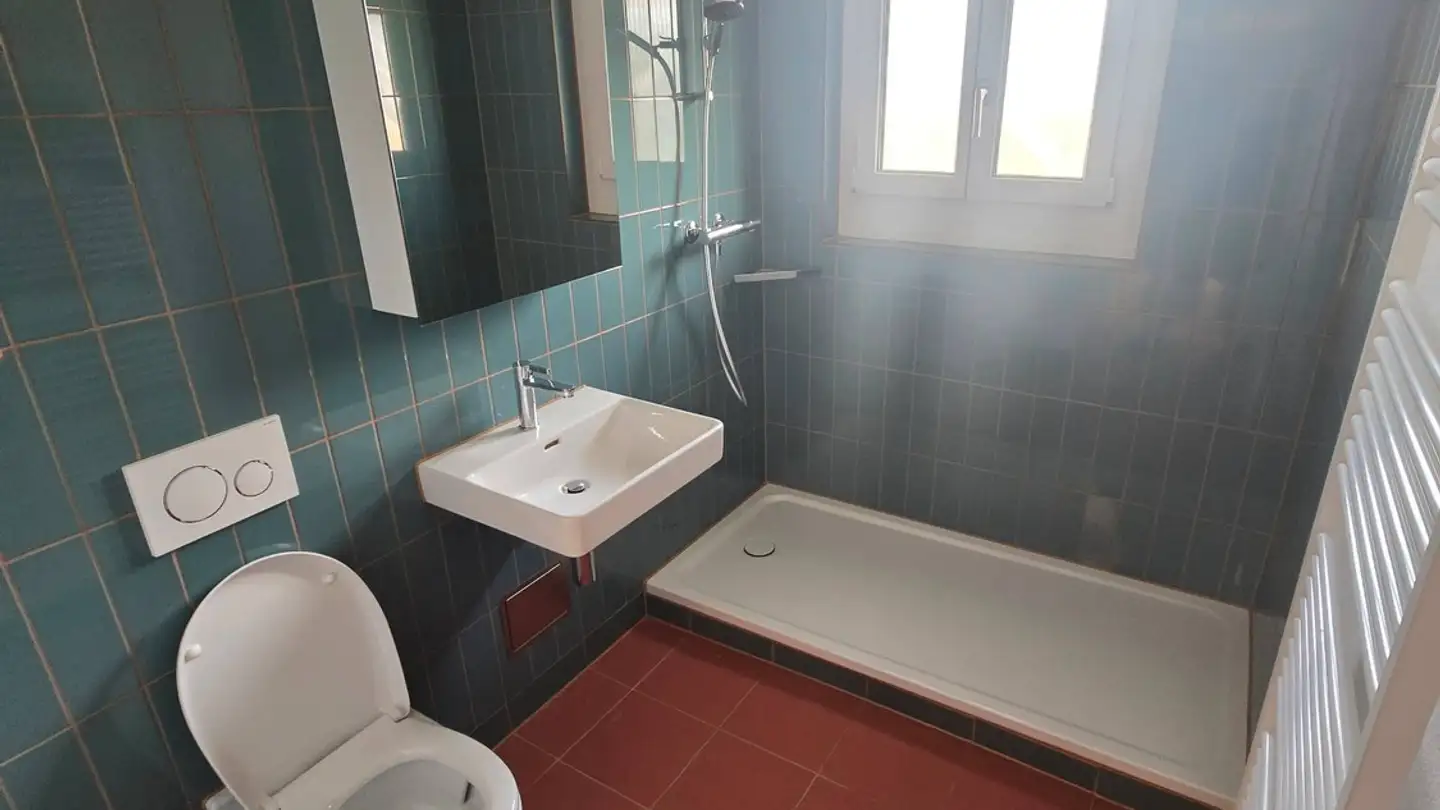 Appartamento in affitto - Pflugstrasse 8, 8952 Schlieren - Foto 3
