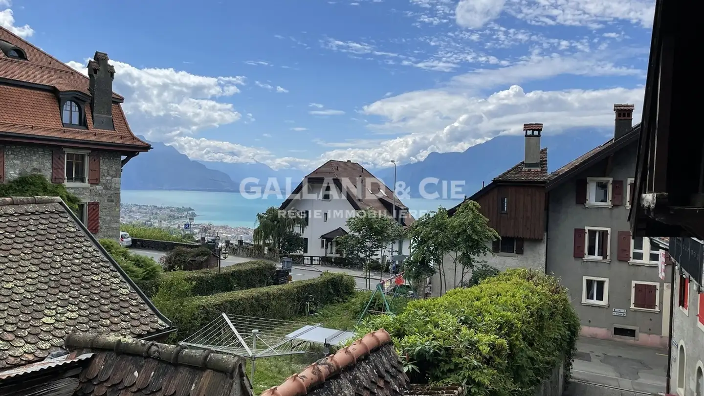 Appartamento in affitto - Escaliers Du Château 3, 1803 Chardonne - Foto 3