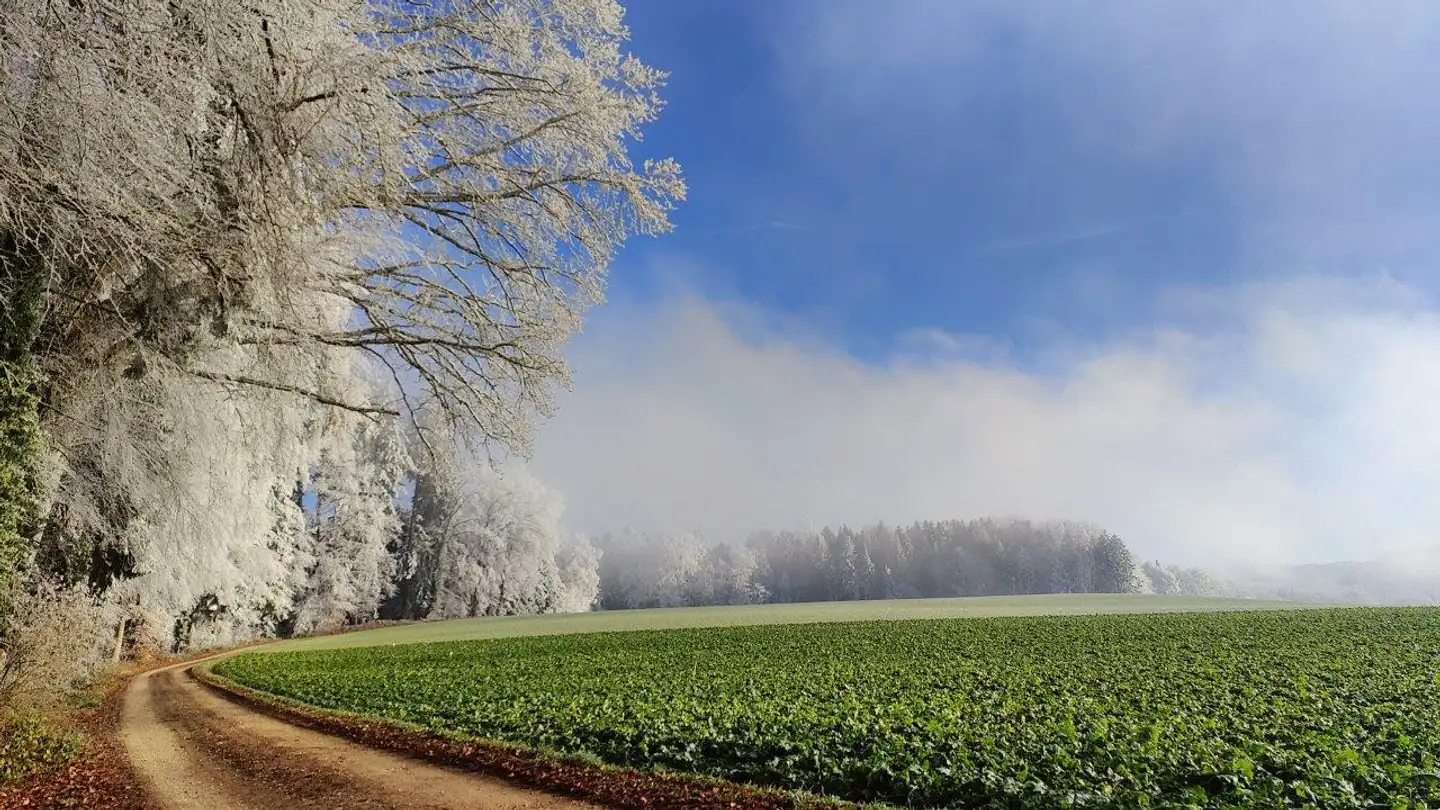 Casa singola in vendita - Dorfstrasse, 3473 Alchenstorf - Photo 4