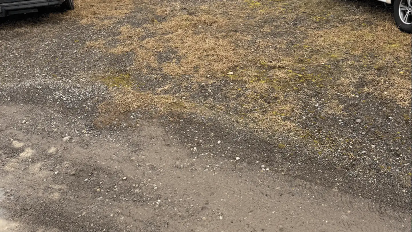 Parcheggio esterno in affitto - Sennweidstrasse, 6312 Steinhausen