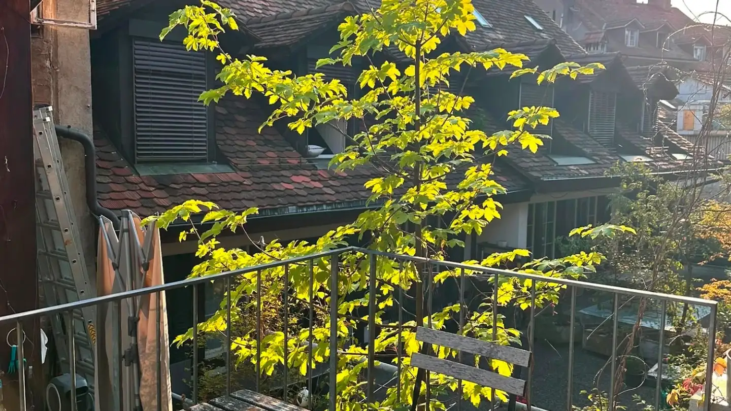 Chambre à louer - Rathausgasse 46, 3011 Bern