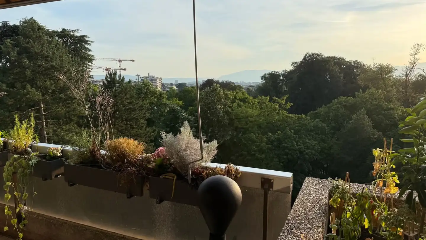 Apartment for rent - 1208 Genève - Photo 3