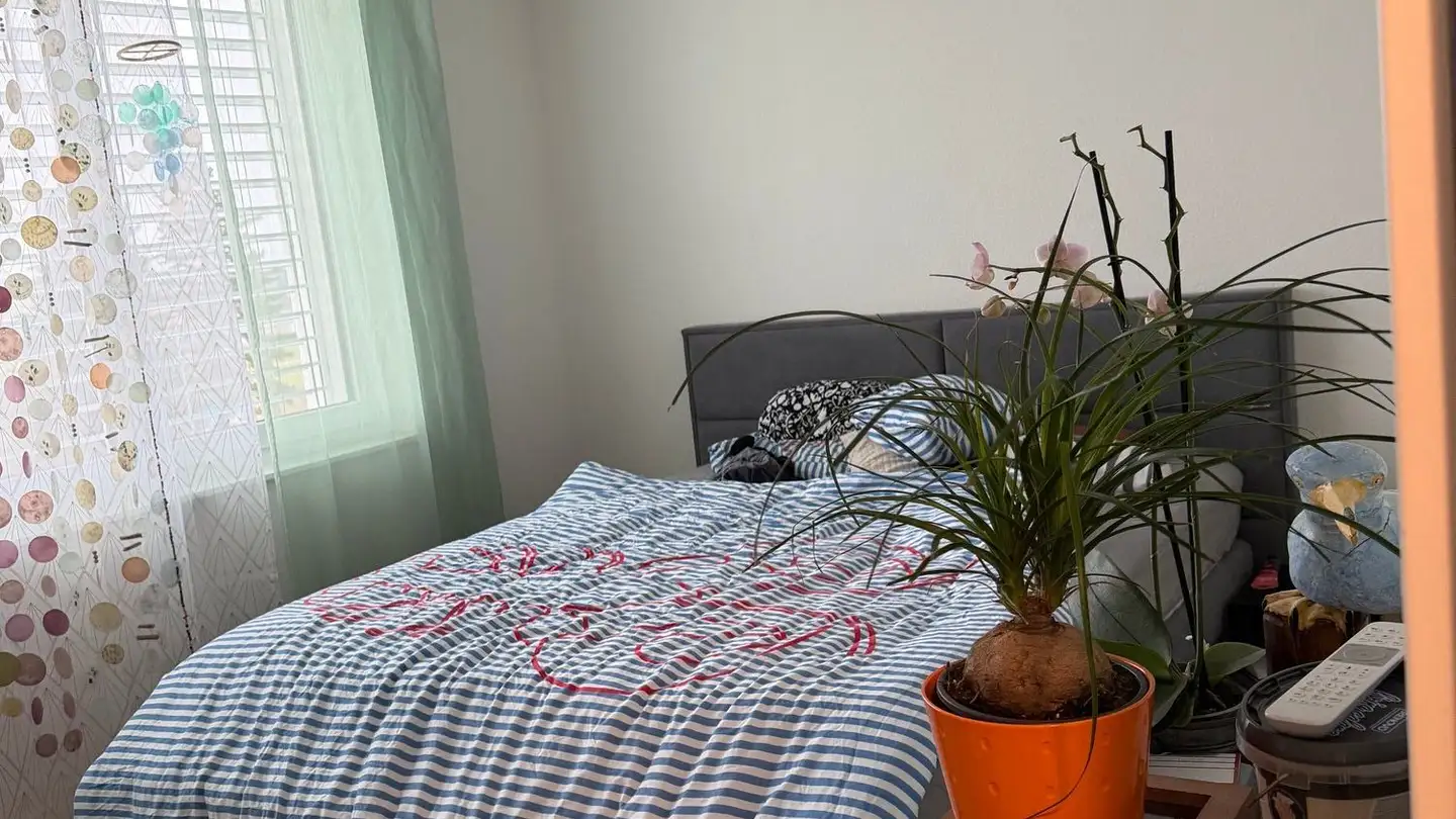 Attico in affitto - Blümlisalpstrasse 9, 4562 Biberist - Foto 3