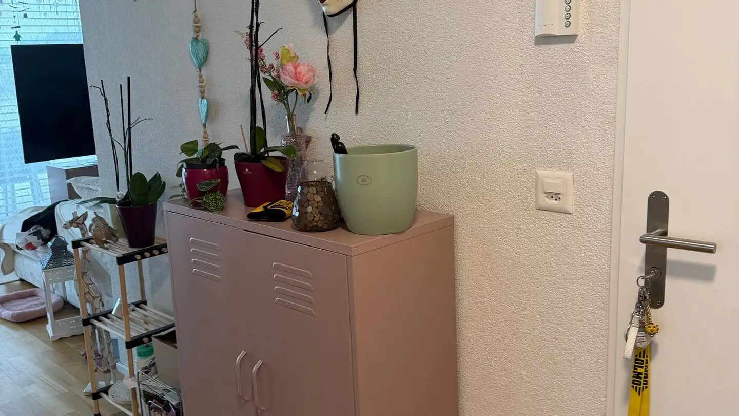 Attico in affitto - Blümlisalpstrasse 9, 4562 Biberist - Foto 4