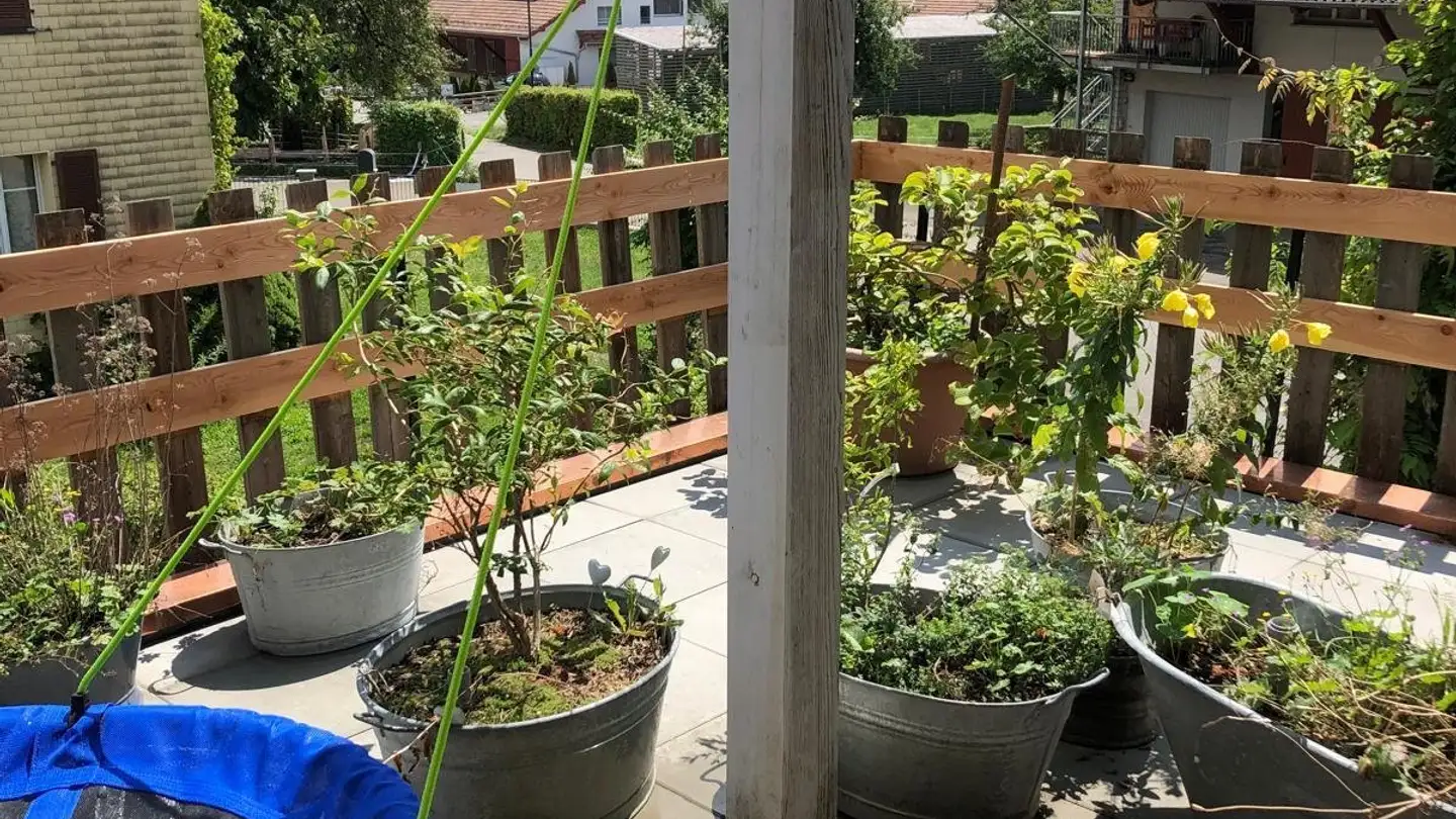 Apartment for rent - Kirchweg 6, 8580 Sommeri - Photo 4