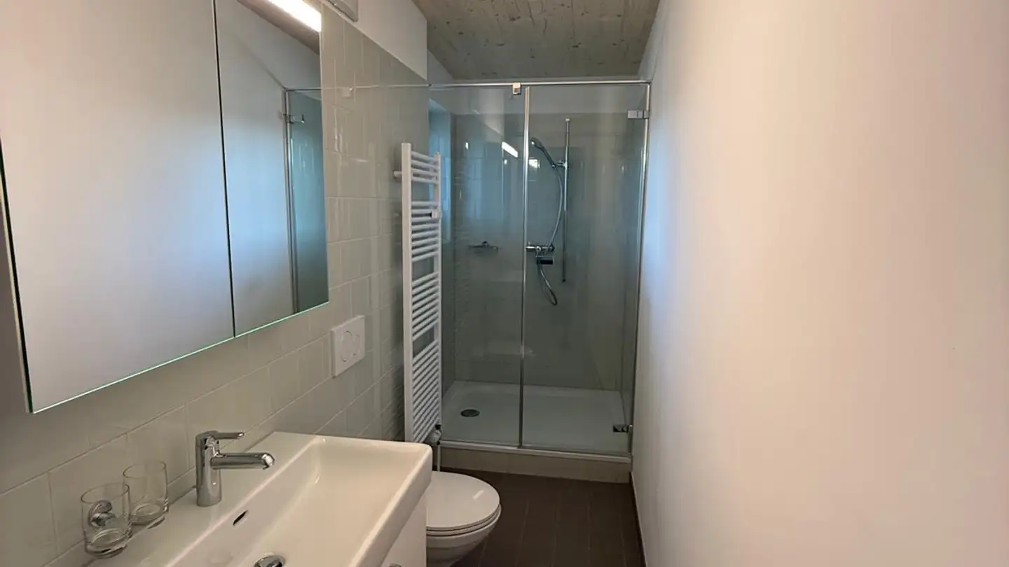 Dachgeschosswohnung mieten - Genossenschaftsstrasse 7, 4132 Muttenz - Foto 4