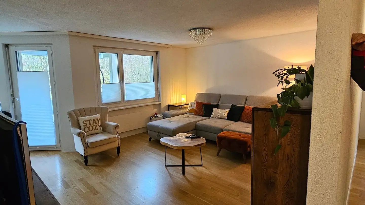 Appartamento in affitto - Wellhauserweg 42b, 8500 Frauenfeld - Photo 3