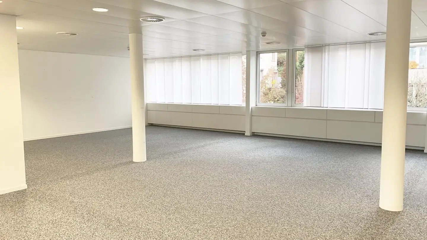 Office space for rent - Baslerstrasse 33, 4102 Binningen - Photo 4