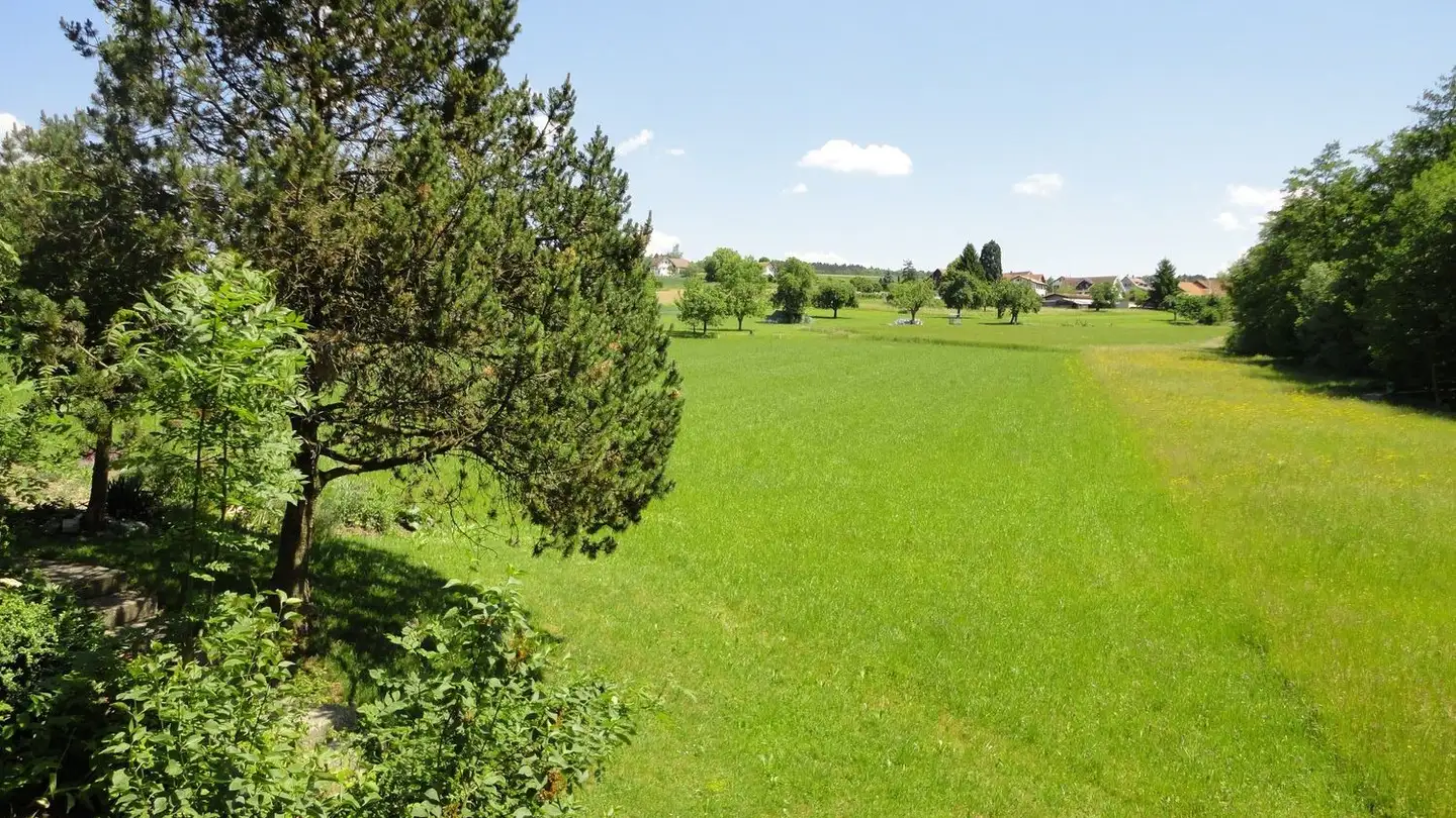 Wohnung mieten - Im Feld 2, 8965 Berikon - Foto 2