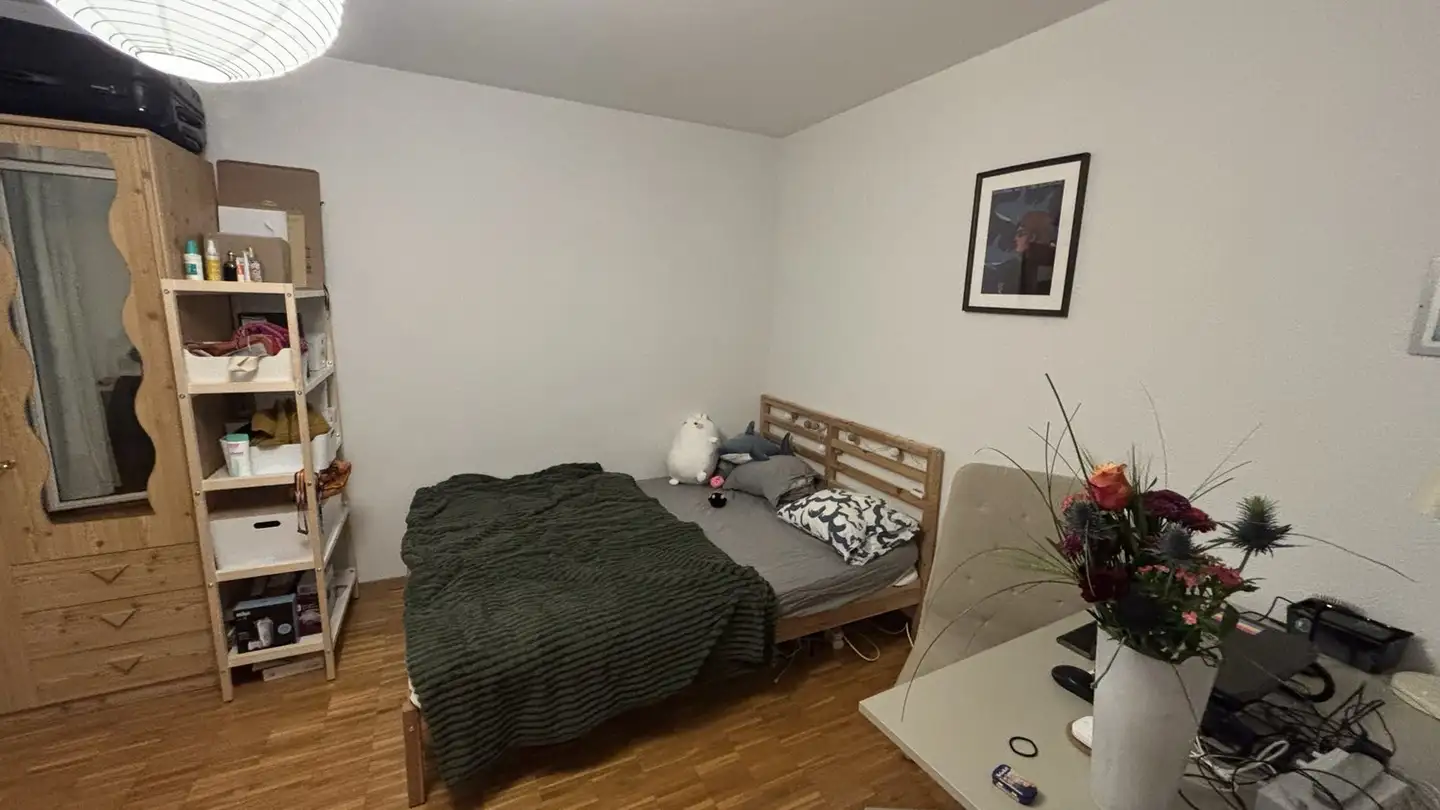 Single room for rent - Neunbrunnenstrasse 138, 8050 Zürich - Photo 2