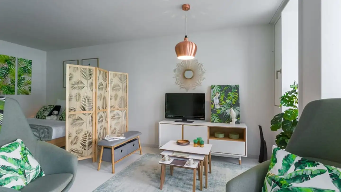 Appartamento in affitto - Rue De La Morâche, 1260 Nyon