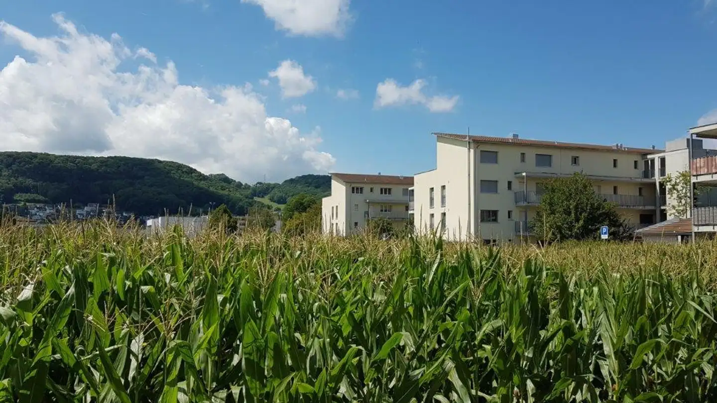 Appartamento in affitto - Münchwilerstrasse 3, 4332 Stein AG - Photo 2