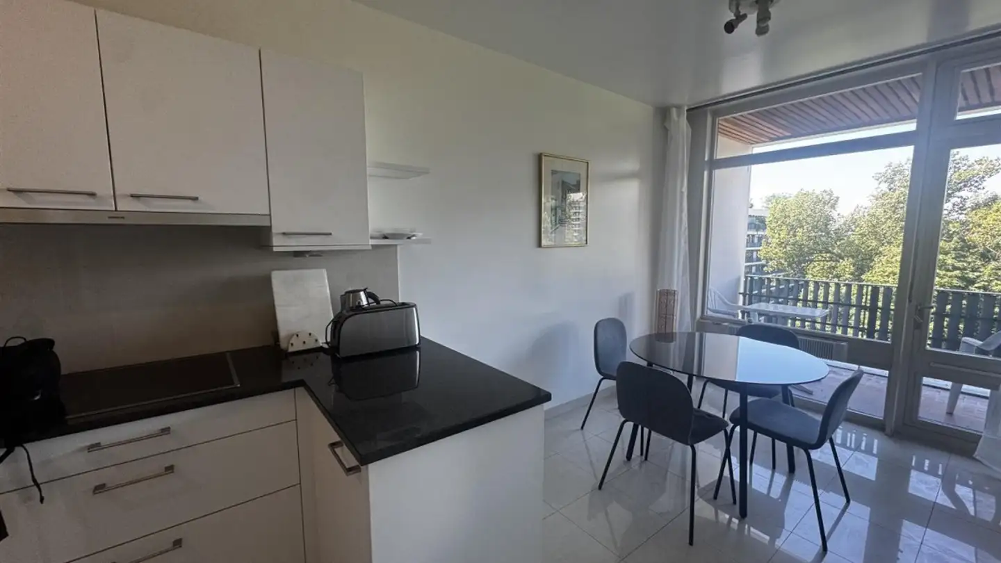 Appartamento ammobiliato in affitto - Avenue De-Budé 6, 1202 Genève - Foto 3