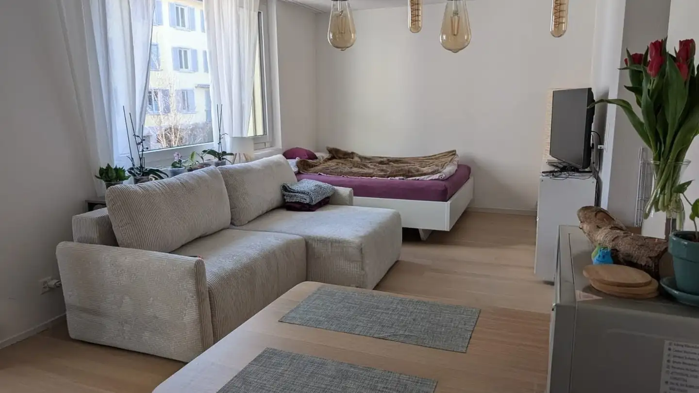 Appartamento in affitto - 8057 Zürich