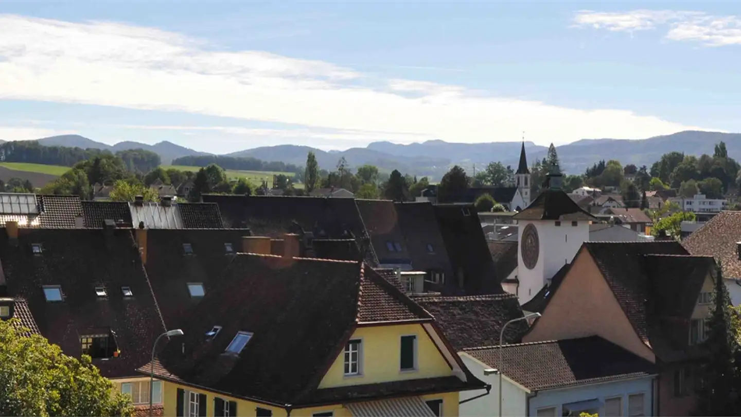 Appartamento in affitto - Röschenzstrasse 14, 4242 Laufen - Foto 3