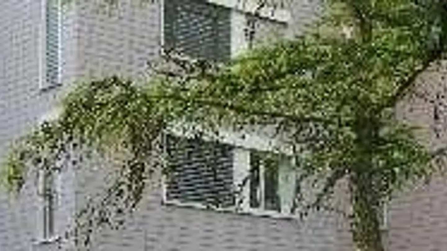 Appartement à louer - Vortauenstrasse 1, 8108 Dällikon - Photo 2