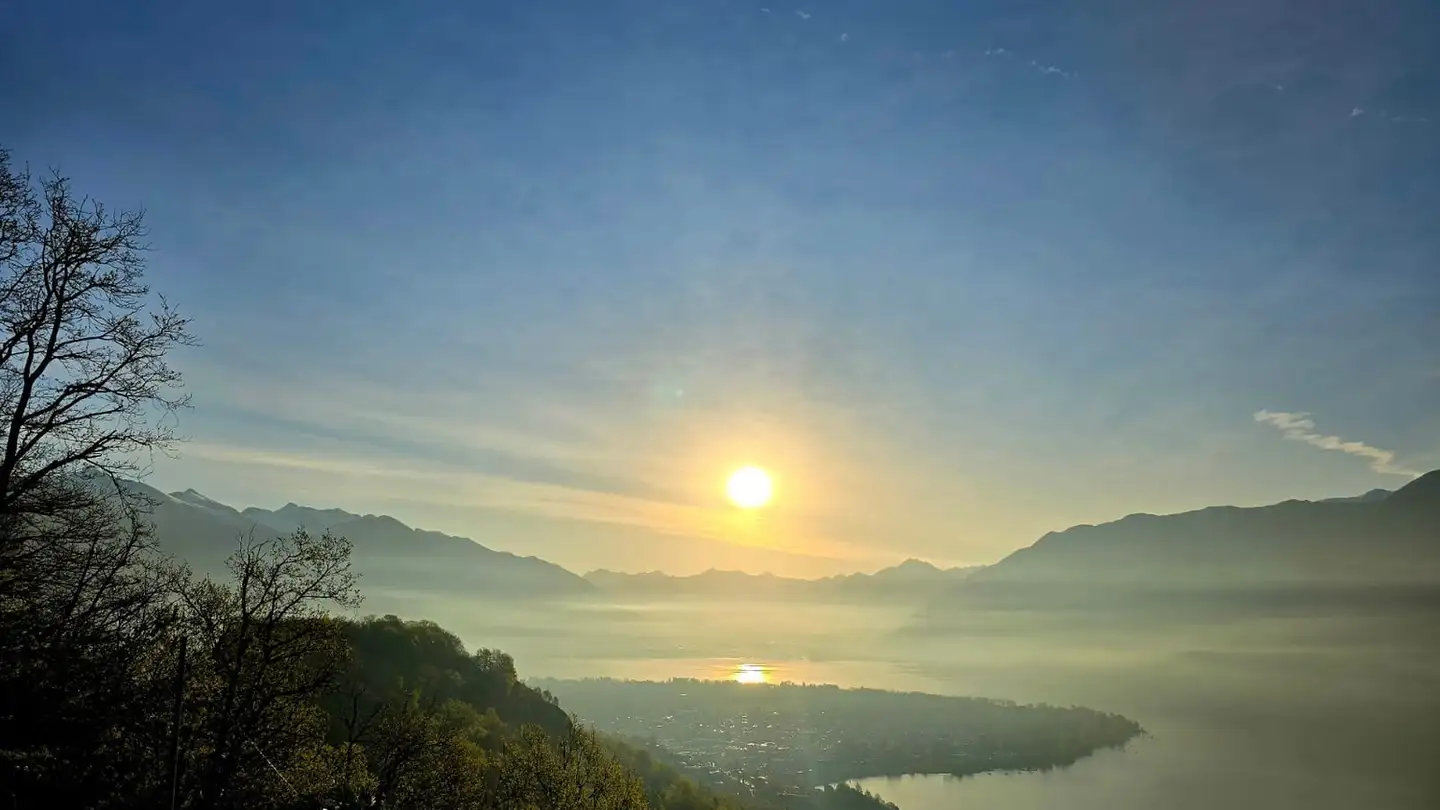 Single room for rent - 6622 Ronco sopra Ascona - Photo 3