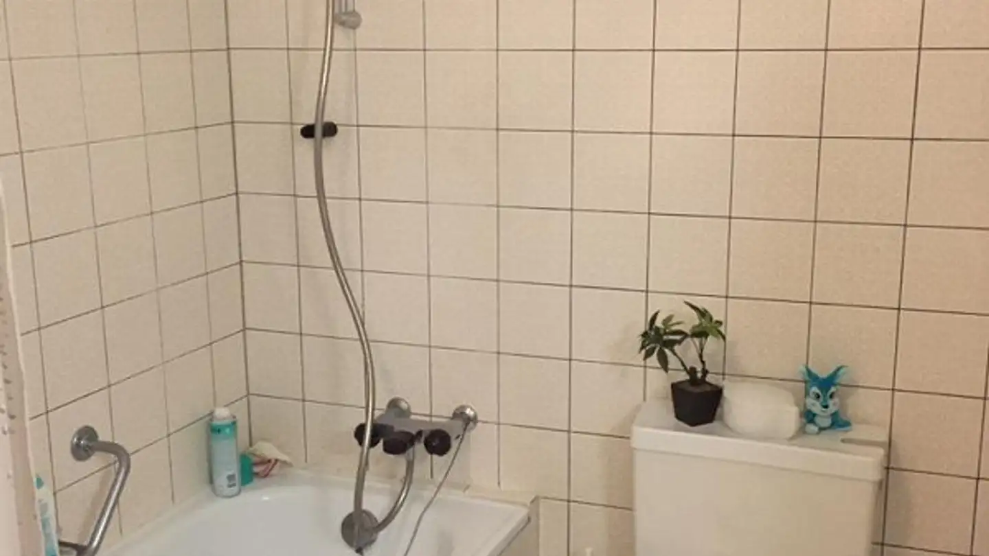 Appartamento in affitto - Zwischen Den Toren 14, 5000 Aarau - Foto 3