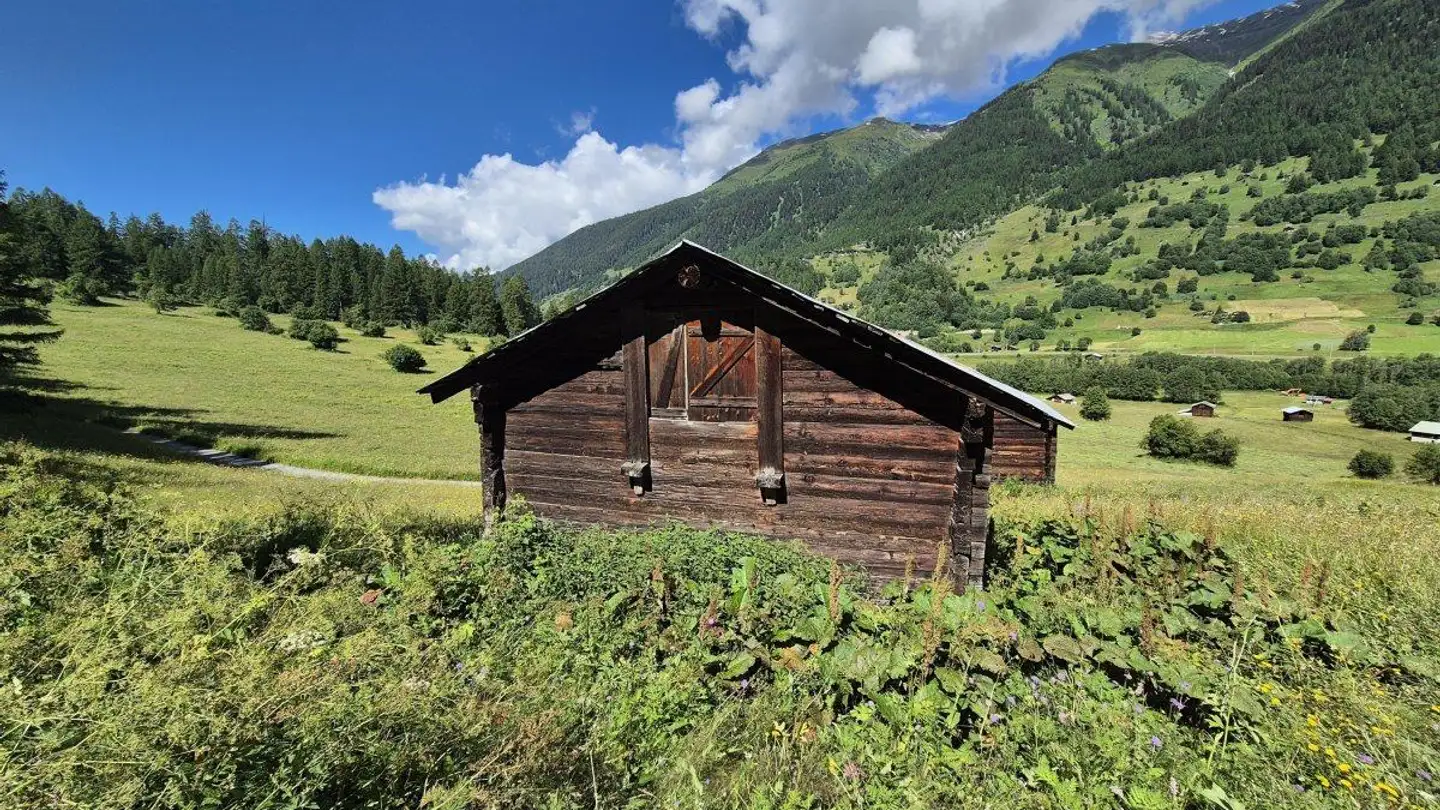 Ferme à vendre - 3989 Niederwald