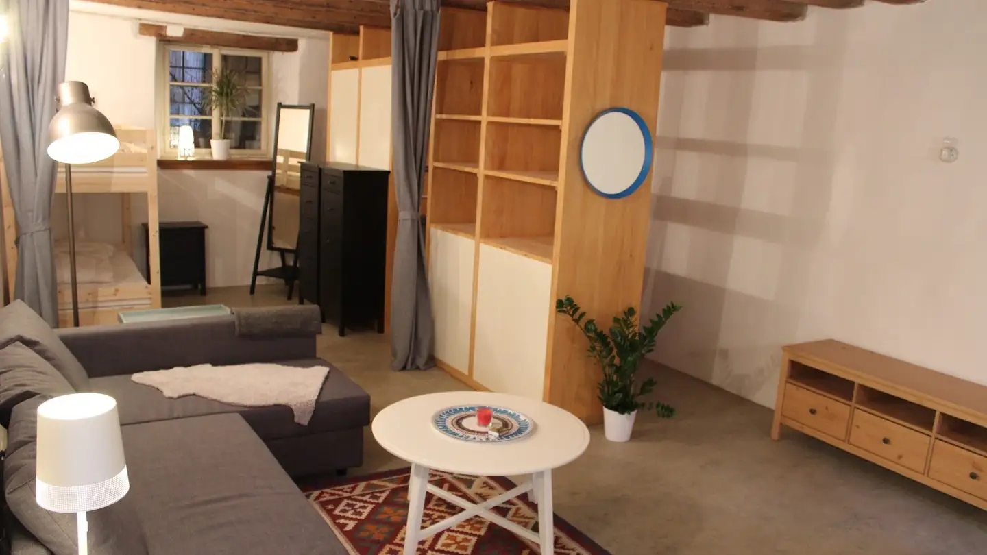 Appartamento in affitto - 8810 Horgen