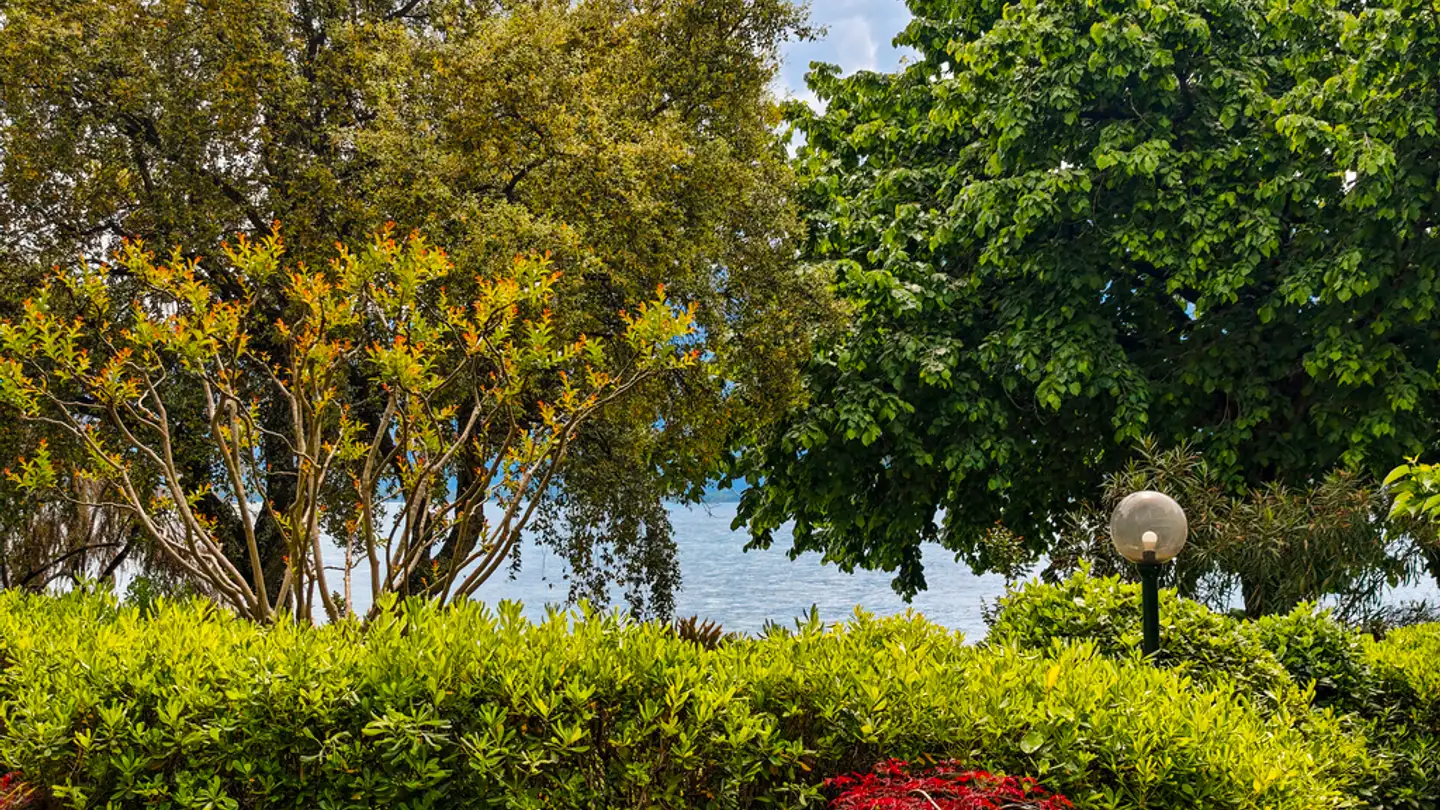 Appartamento in affitto - Rue Du Théâtre 7, 1820 Montreux - Photo 4