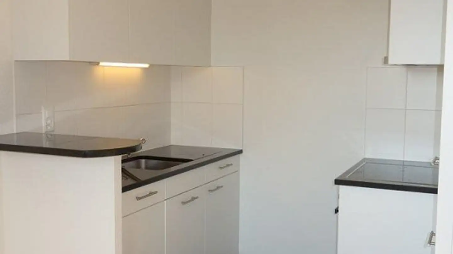 Appartement à louer - Rue Du Mont-De-Sion 3, 1206 Genève - Photo 3