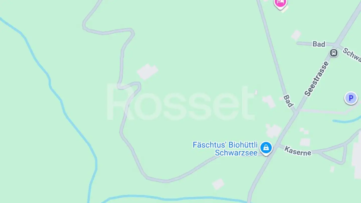 Chalet for sale - Bad 31, 1716 Schwarzsee - Photo 4