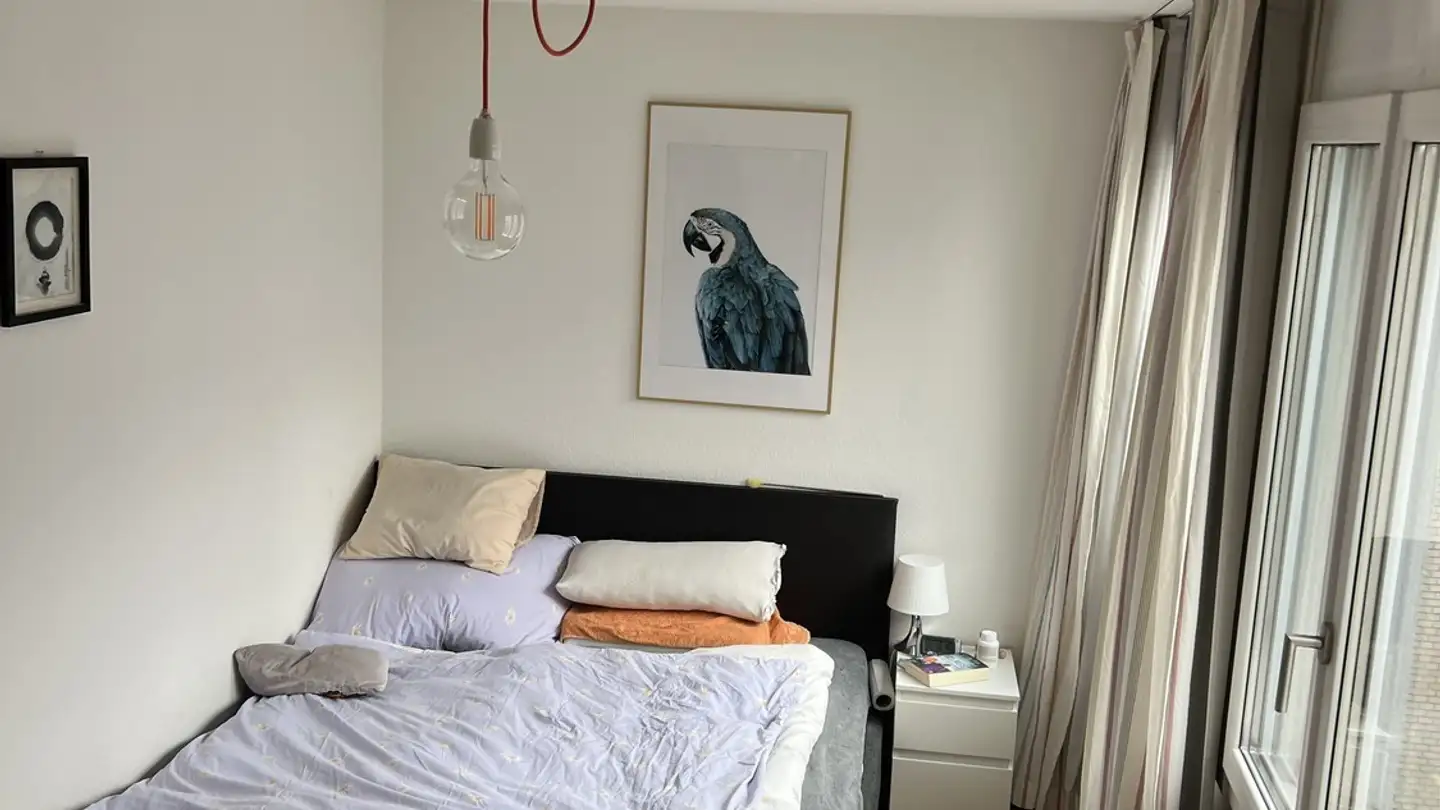 Stanza singola in affitto - Dienerstrasse 7, 8004 Zürich