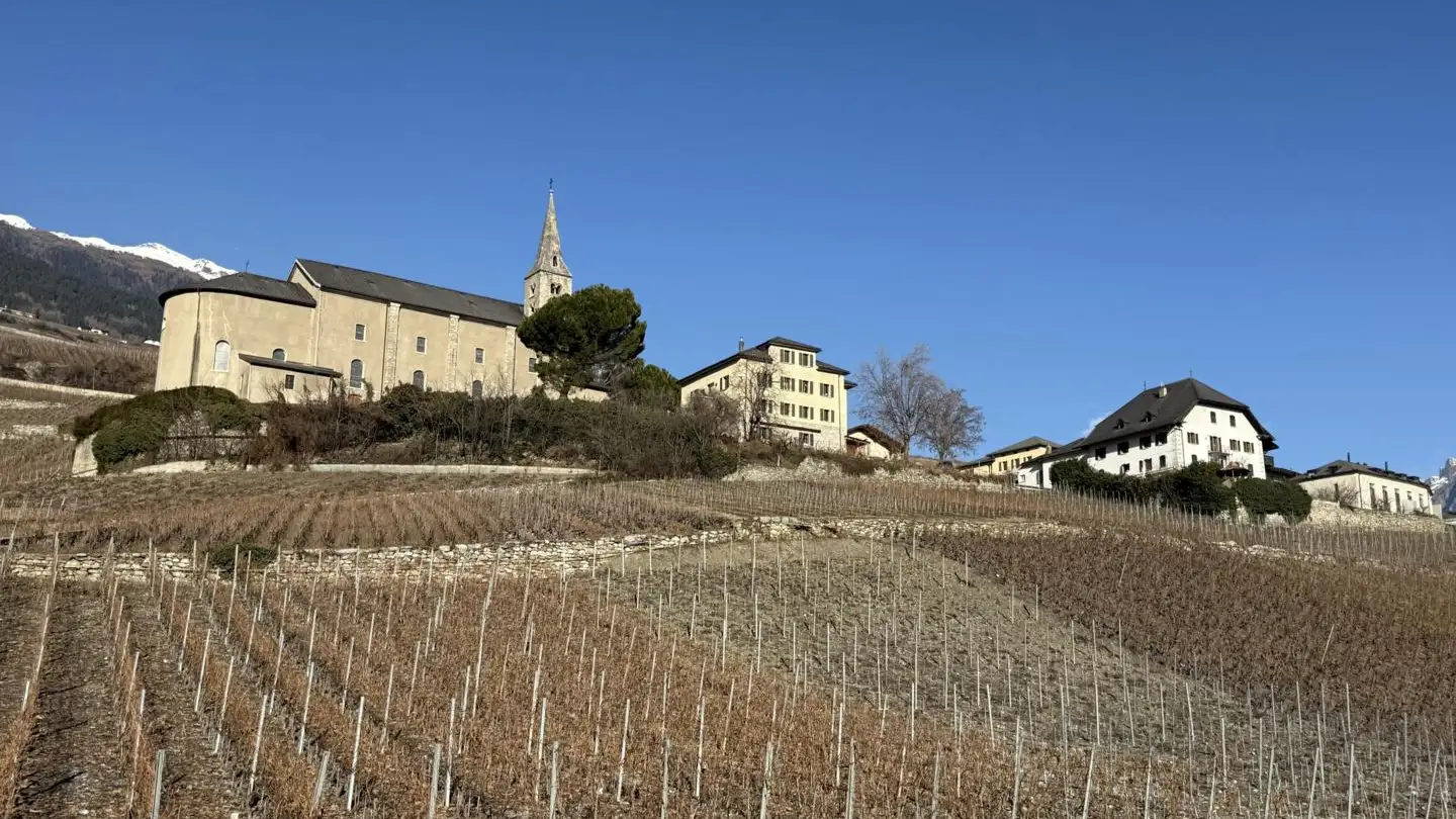 Apartment for rent - 1975 St-Séverin