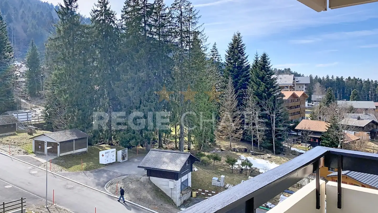 Appartamento in affitto - Chemin De L'ermitage 25, 1619 Les Paccots