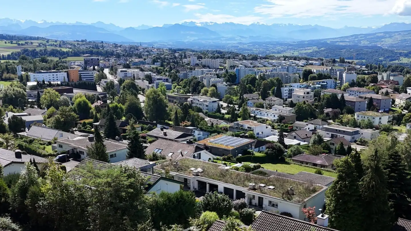 Stepped house for sale - Haldenstrasse 26, 8967 Widen - Photo 3