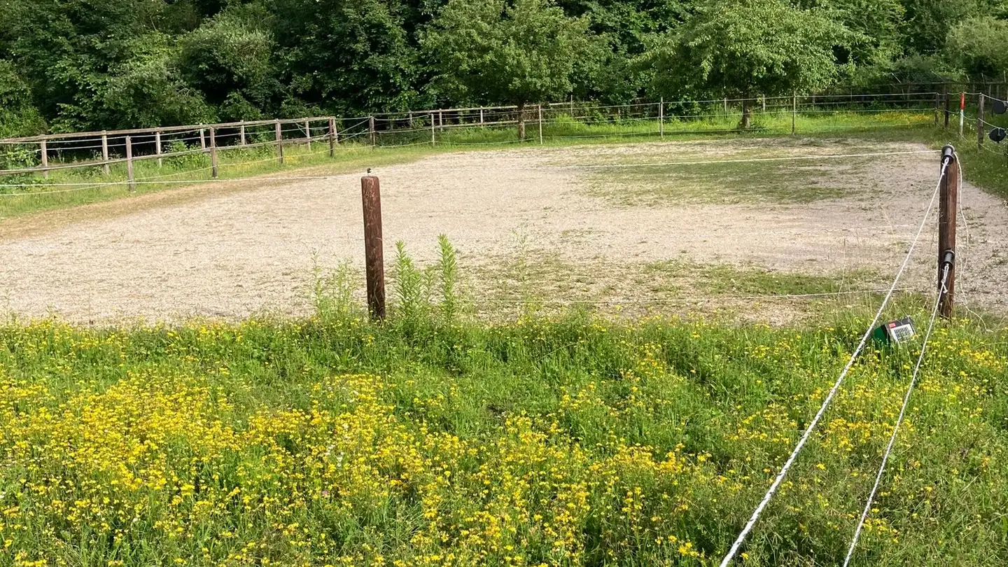 Single house for sale - 4658 Däniken SO - Photo 3