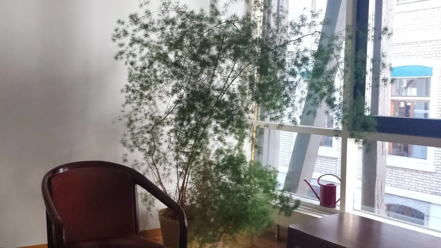 Spazio ufficio in affitto - Bleicherweg 64a, 8002 Zürich