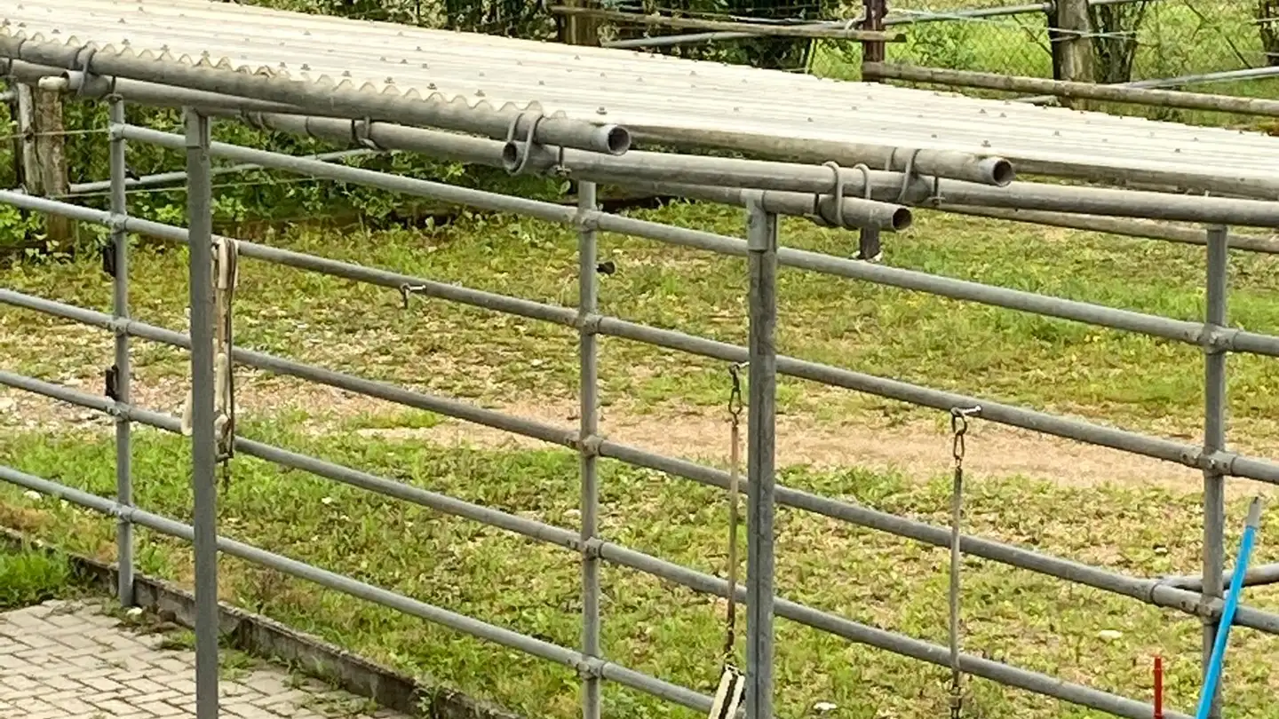 Single house for sale - 4658 Däniken SO - Photo 4