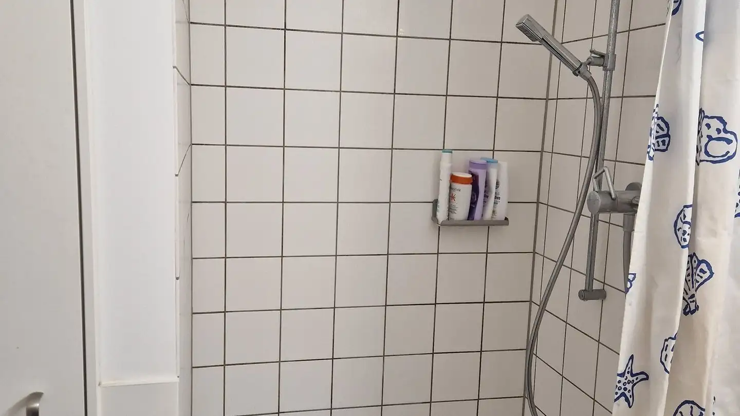 Apartment for rent - Promenadengasse 18, 8001 Zürich