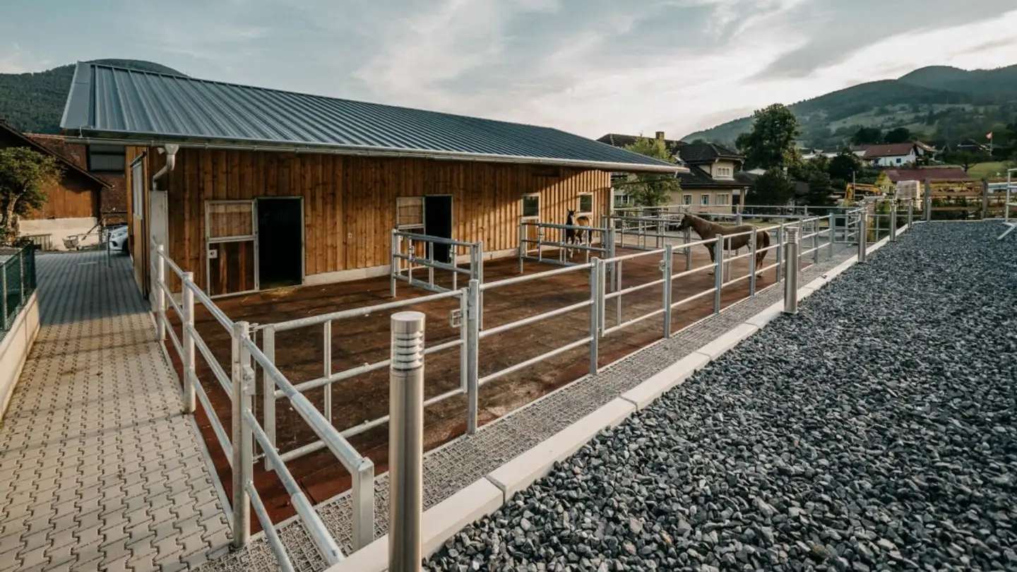 Horse box for sale - 4714 Aedermannsdorf - Photo 2