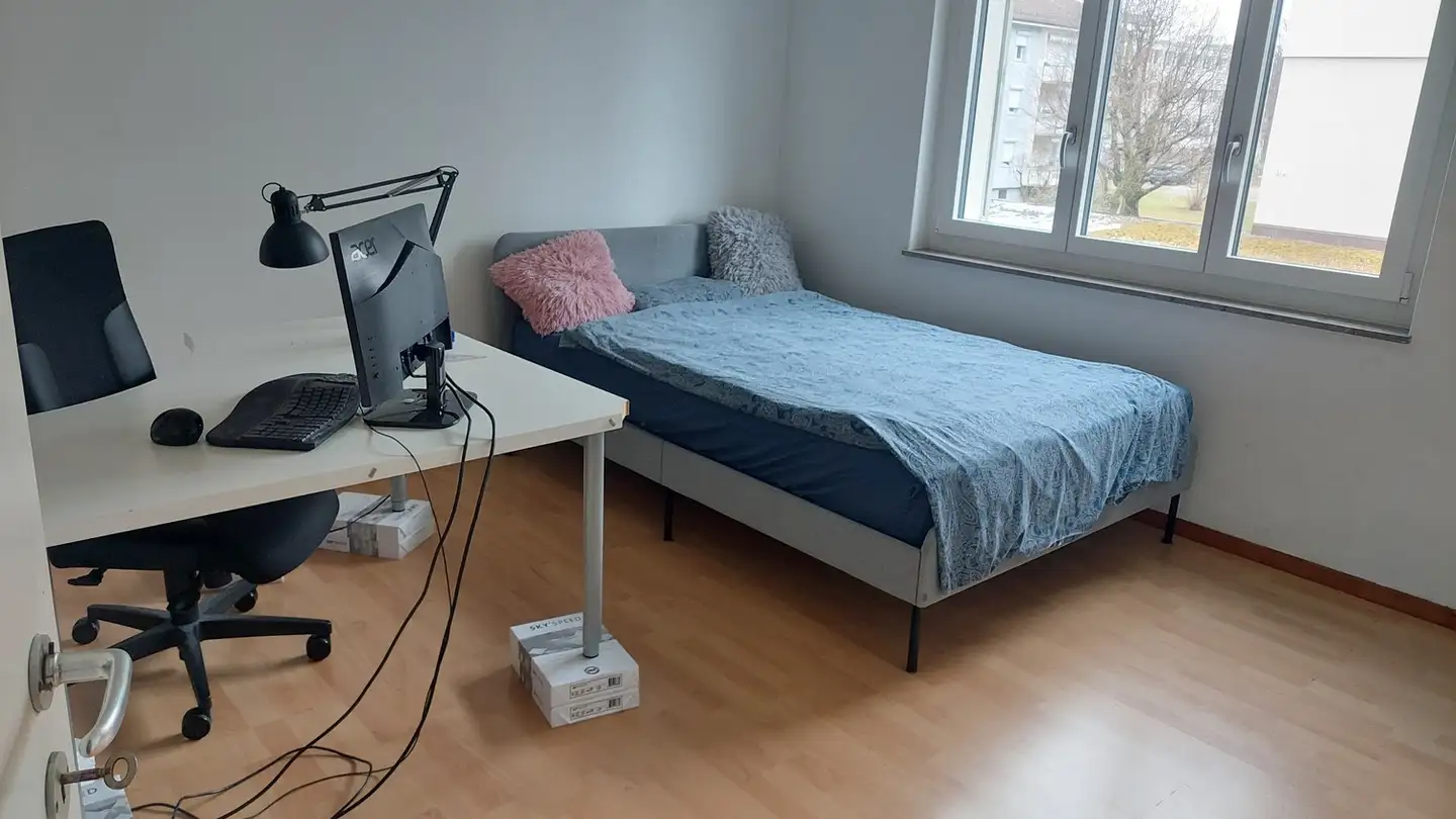 Appartamento in affitto - Am Luchsgraben 29, 8051 Zürich - Foto 2