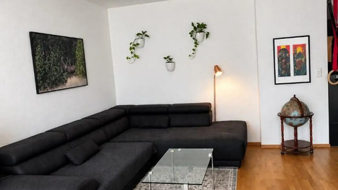 Furnished apartment for rent - 4051 Basel - Photo 2
