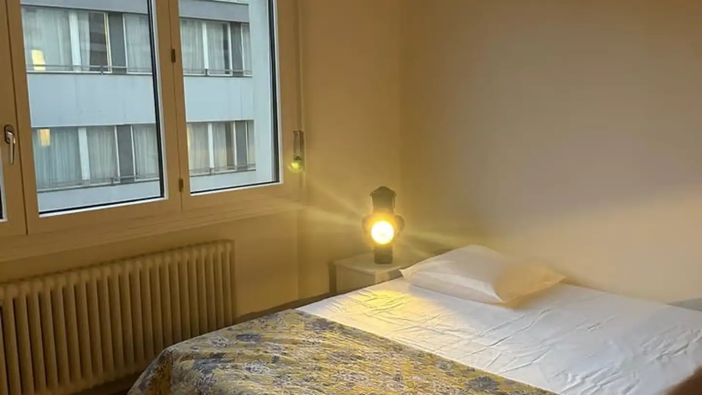 Appartamento in affitto - Rue de Lausanne, 1202 Genève - Foto 2