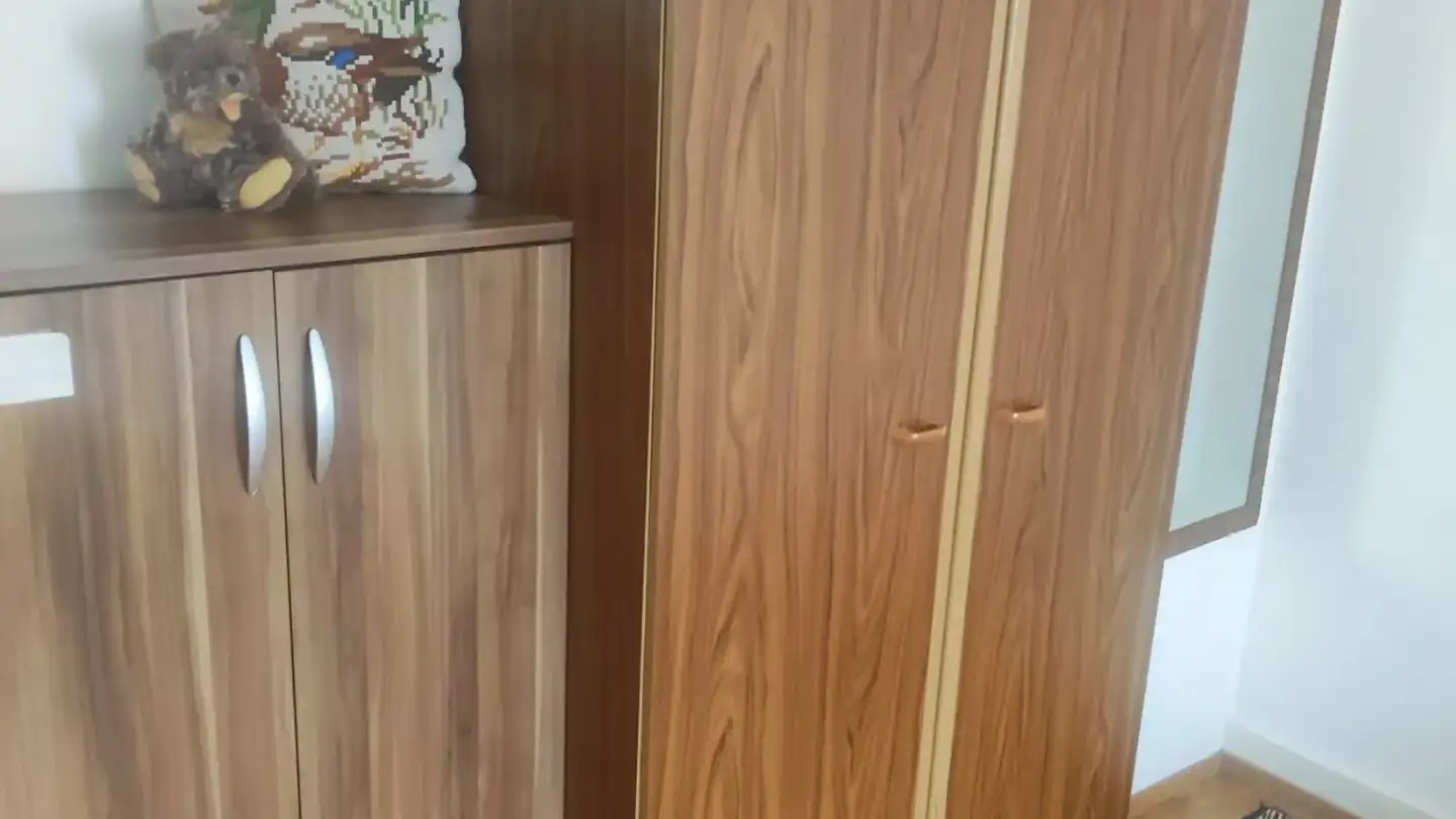 Chambre à louer - 8050 Zürich - Photo 3