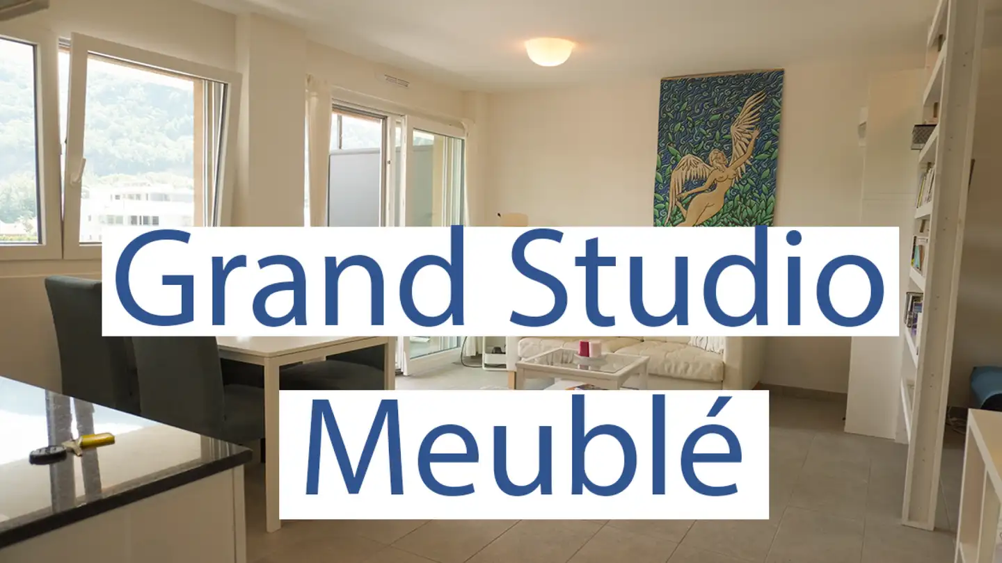 Appartamento in affitto - Promenade Des Berges 21, 1950 Sion