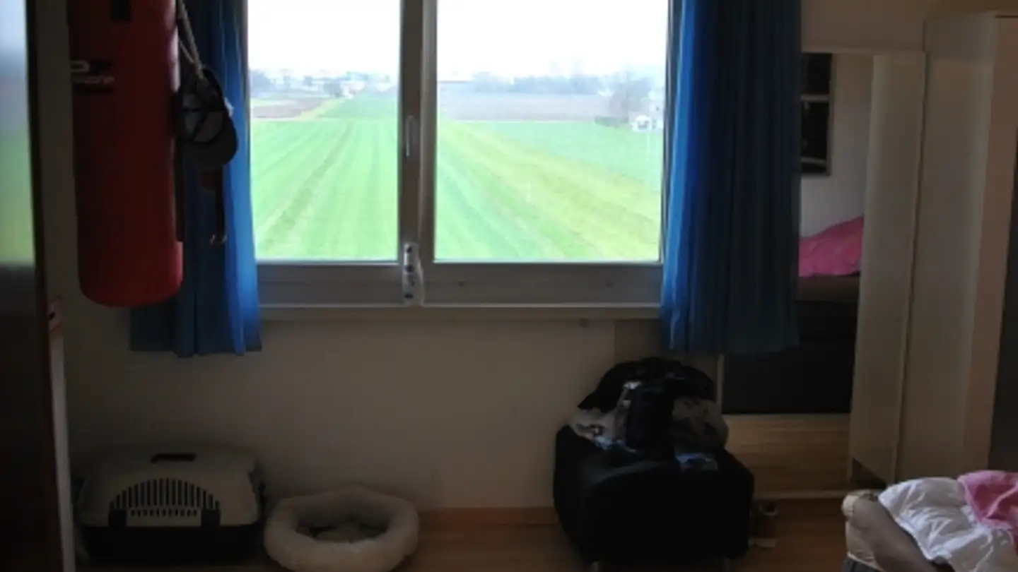 Apartment for rent - Chilenaustrasse 21, 8108 Dällikon - Photo 3