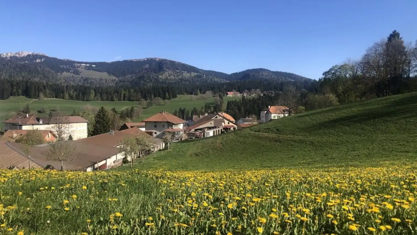 Immeuble résidentiel à vendre - 2117 La Côte-aux-Fées