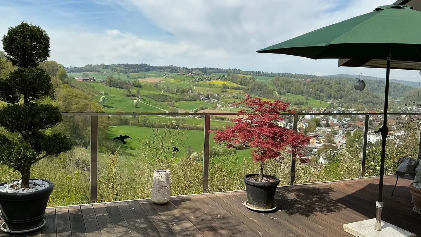 Maison individuelle à vendre - Ettenbergstrasse 30, 8903 Birmensdorf ZH - Photo 2