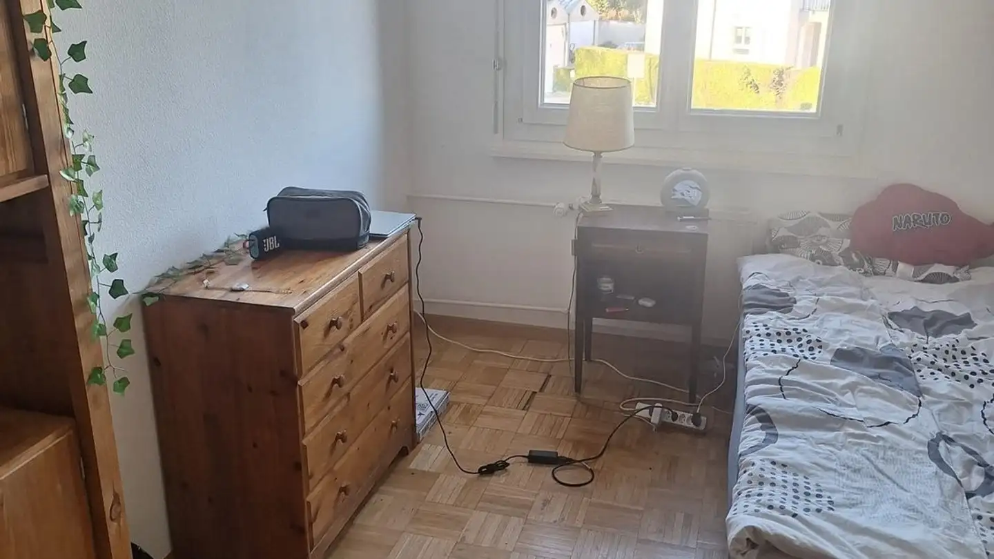 Single room for rent - Rue Des Alpes 10c, 1196 Gland