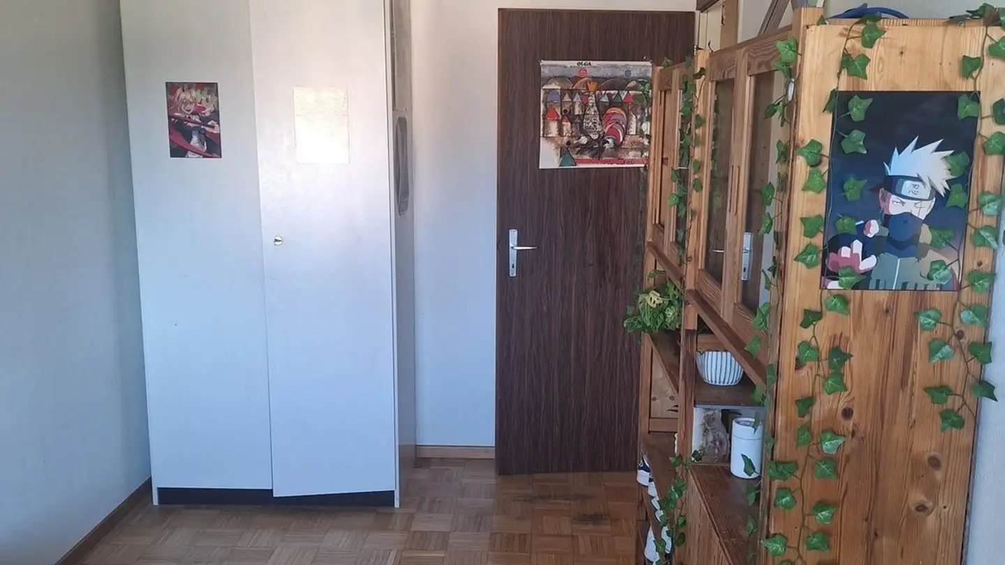 Stanza singola in affitto - Rue Des Alpes 10c, 1196 Gland - Photo 2