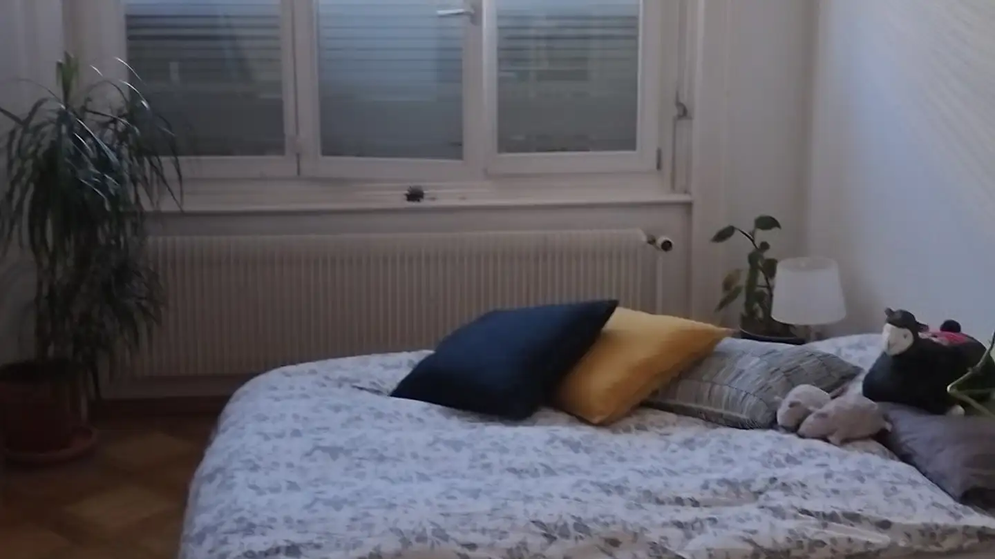 Single room for rent - Eigerstrasse 48, 3007 Bern